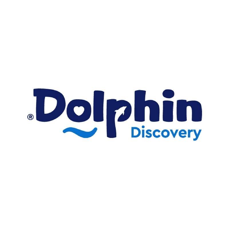 Dolphin Discovery